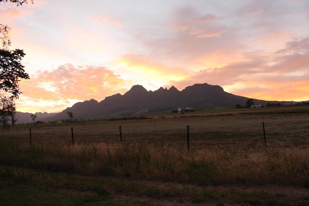 Rosenview Guest House Stellenbosch Eksteriør bilde